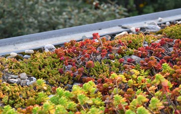 the cost of Smallford green roof installation
